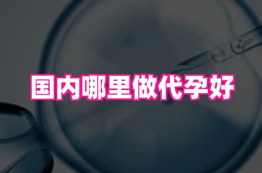 北京助孕网 1