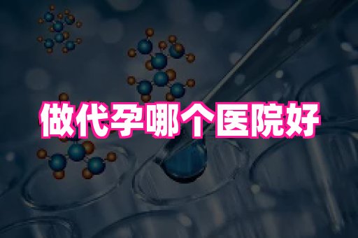 北京助孕网 2