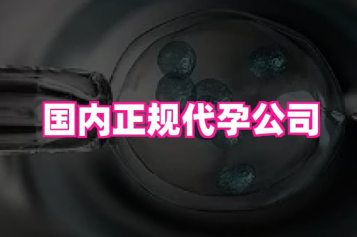 北京助孕网 4